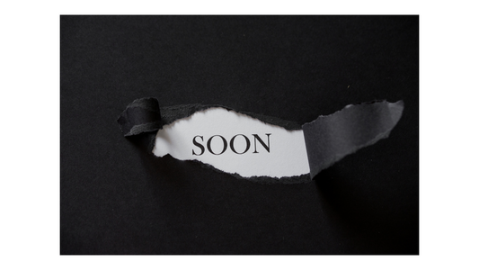 Reflection/Mixtape Vol. 2